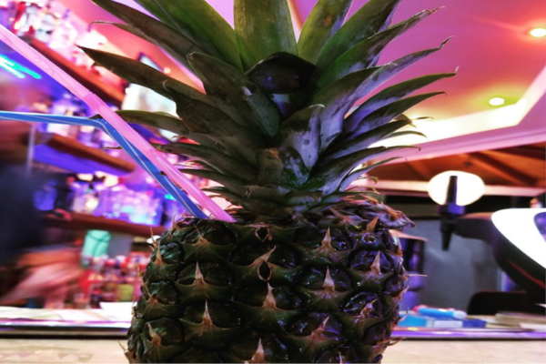 zante hotels, vanessa cocktails, zante kalamaki